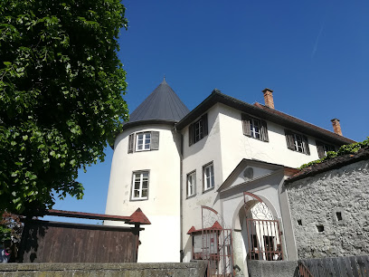 Muzej Vrbovec - muzej gozdarstva in lesarstva (grad Vrbovec)