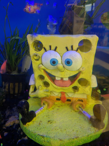 Pet Supply Store «Pet Supplies Plus», reviews and photos, 508 E Stroop Rd, Kettering, OH 45429, USA