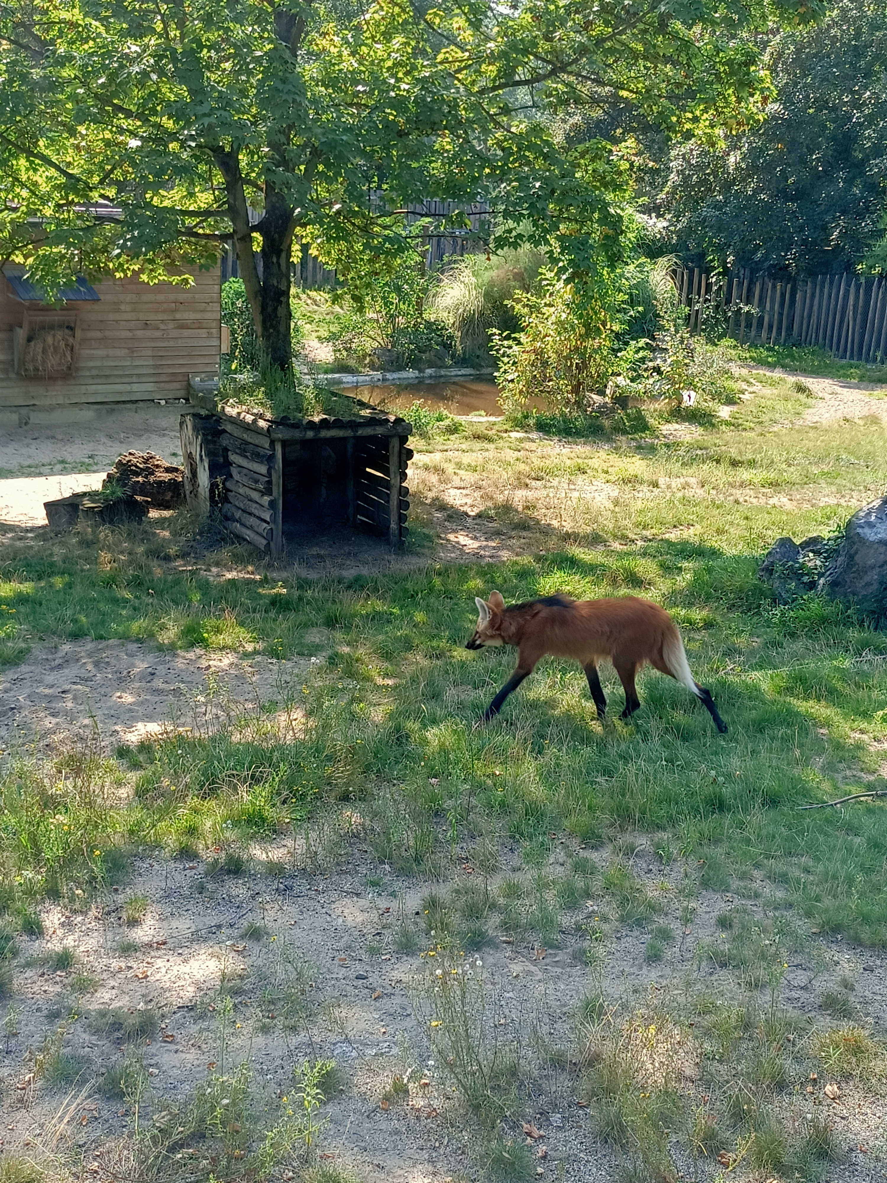 Photo n° 1 de l'avis de Quentin.r fait le 16/09/2021 à 07:24