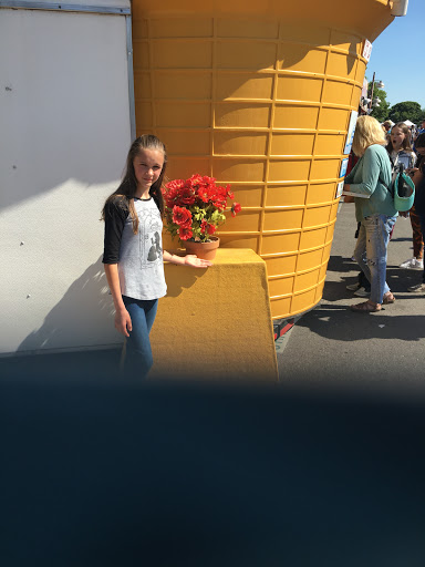 Performing Arts Theater «Georgetown Palace Theatre», reviews and photos, 810 S Austin Ave, Georgetown, TX 78626, USA