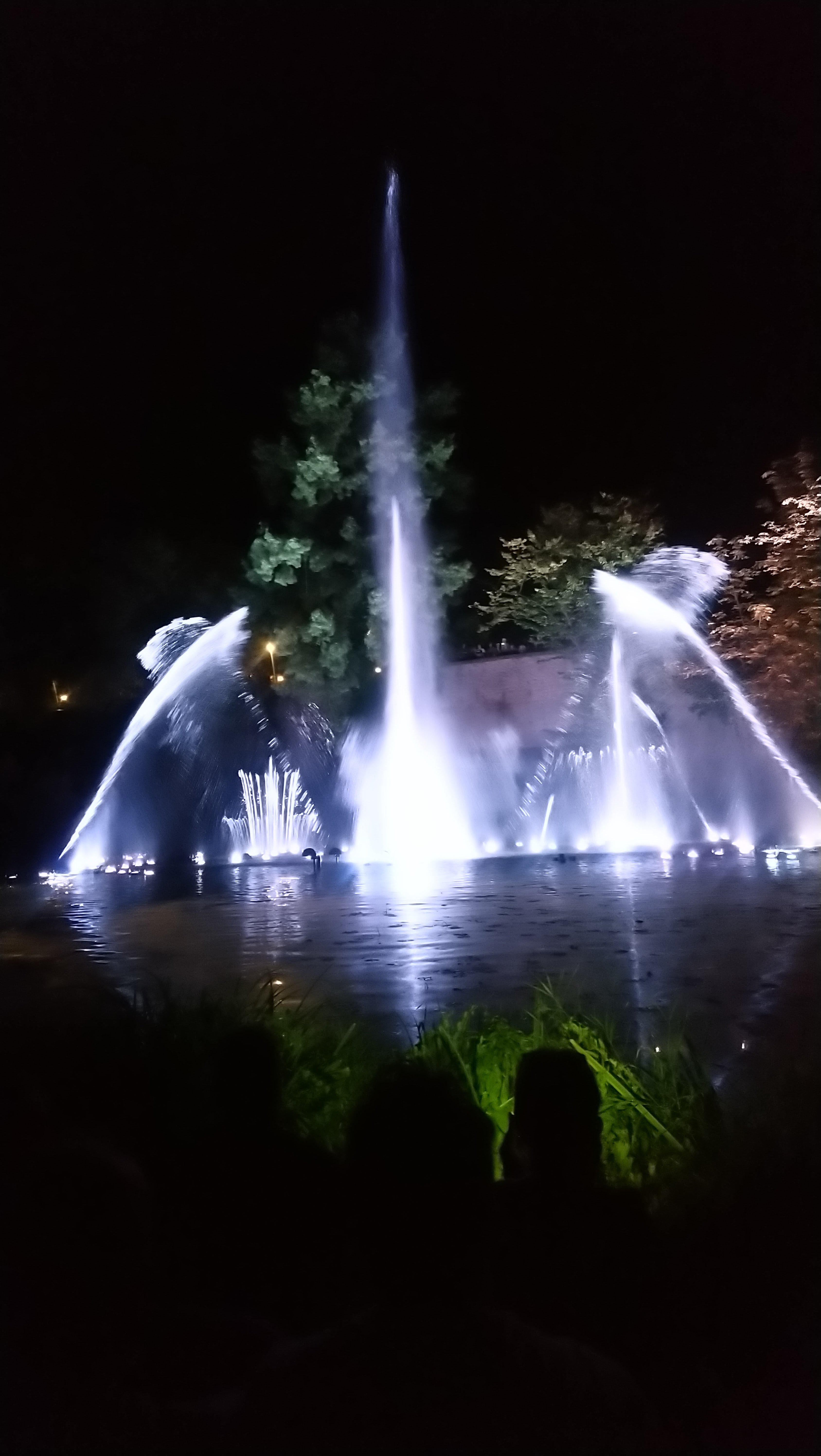 Photo n° 4 de l'avis de argan.r fait le 31/08/2019 à 21:13