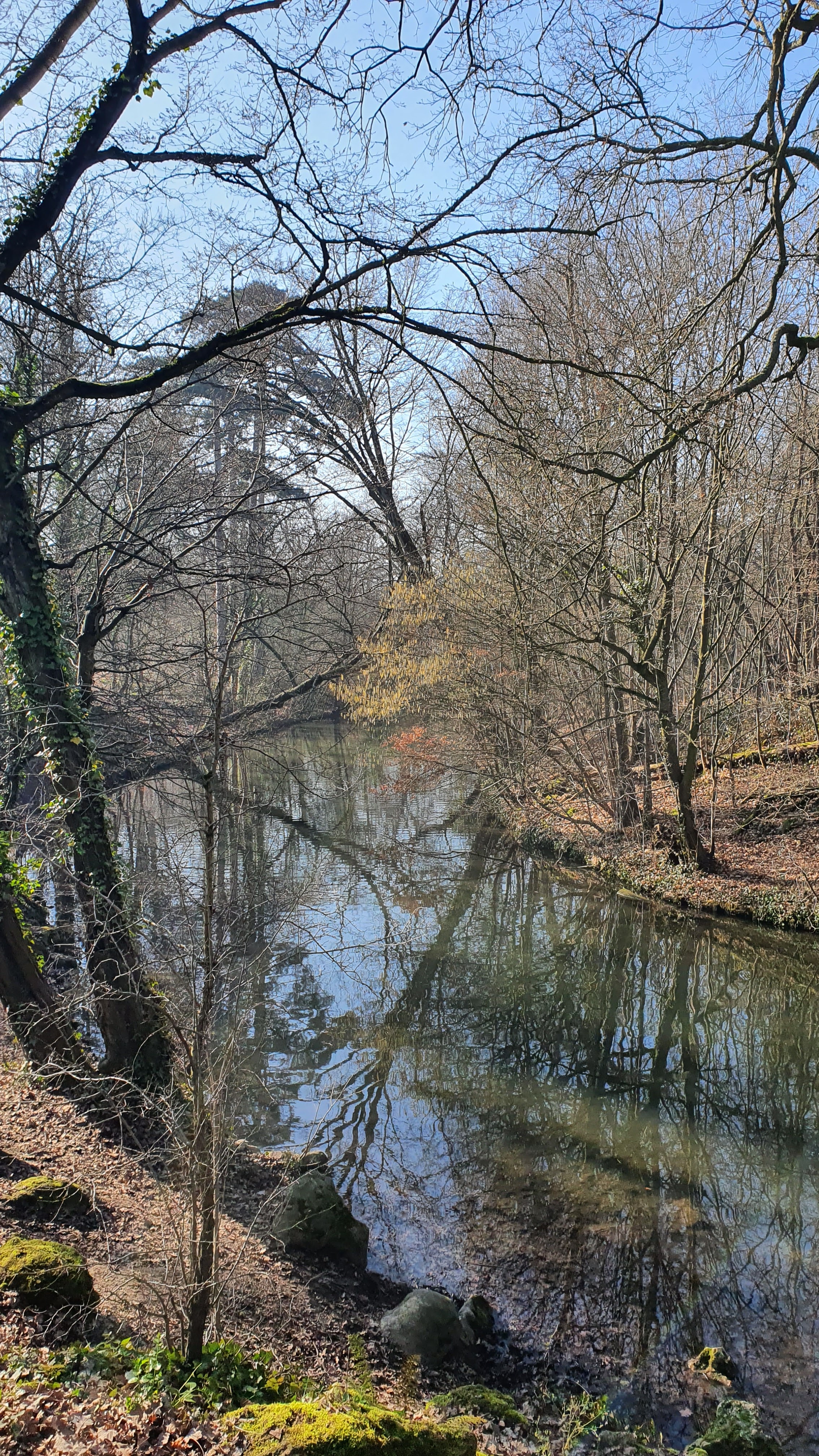 Photo n° 15 de l'avis de Gaelle.T fait le 12/02/2023 à 10:18