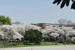 Mihashi Recreational Park image