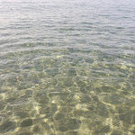 Photo n°2 de l'avis de Claudia. fait le 10/08/2021 à 15:53 sur le  Calandre à Ventimiglia