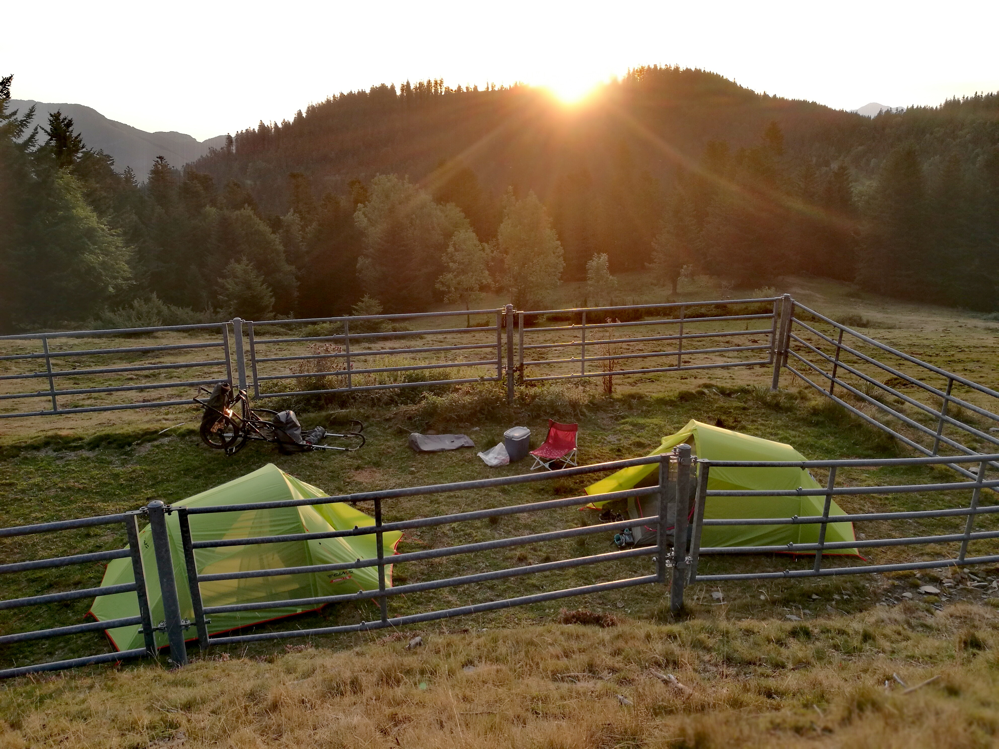 Photo n° 9 de l'avis de oligo.t fait le 18/08/2022 à 06:53