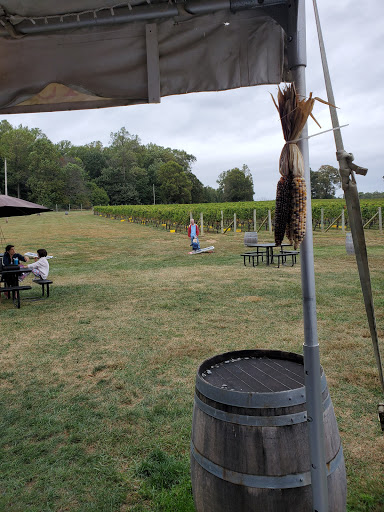 Winery «Sugarloaf Mountain Vineyard», reviews and photos, 18125 Comus Rd, Dickerson, MD 20842, USA