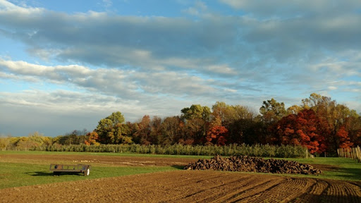 Farm «Manoff Market Gardens», reviews and photos, 3157 Comfort Rd, Solebury, PA 18963, USA