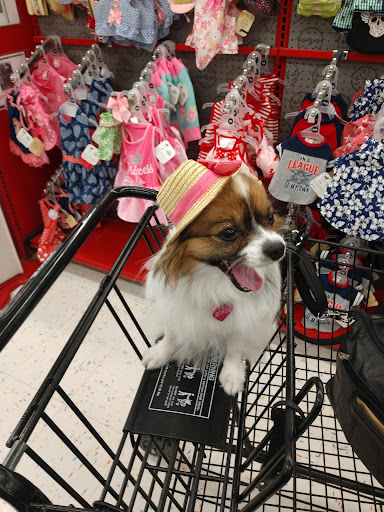 Pet Supply Store «Petco Animal Supplies», reviews and photos, 1605 Beltline Rd SW, Decatur, AL 35601, USA