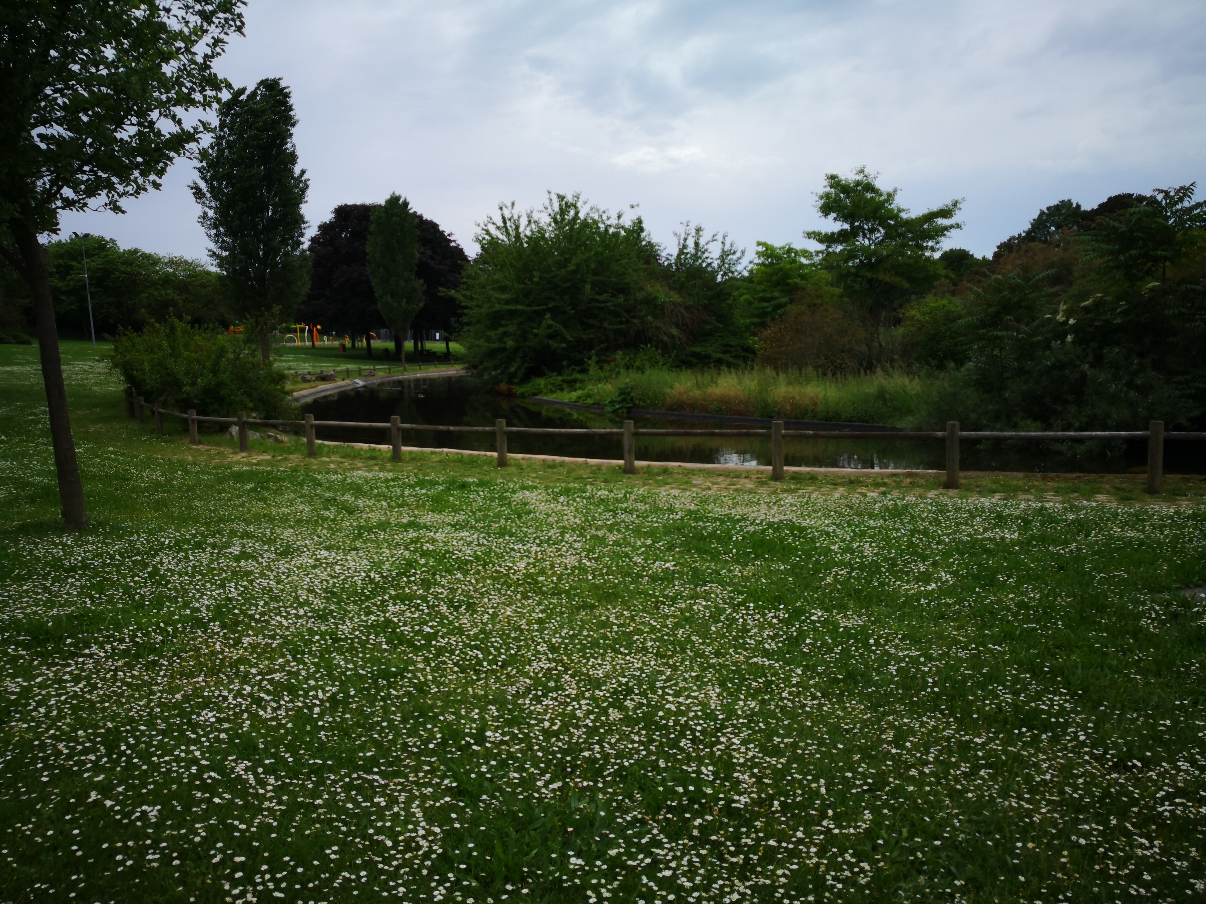 Photo n° 4 de l'avis de qamar. fait le 20/05/2018 à 07:54