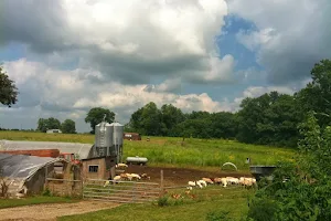 This Old Farm, Inc. image