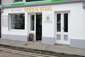 Seed and Soul image