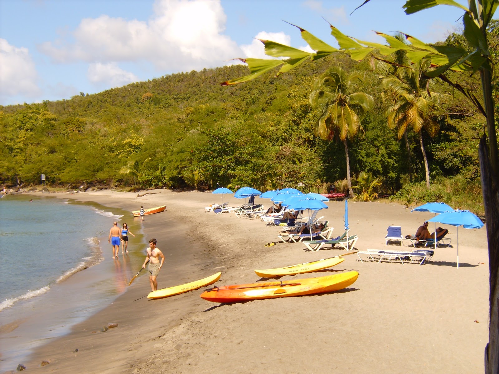 Photo of Anse Cochon beach backed by cliffs