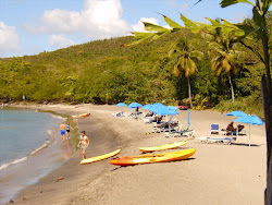 Anse Cochon beach'in fotoğrafı ve yerleşim