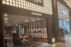 Coach image