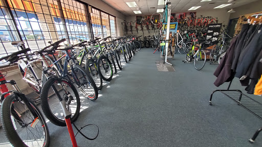 Bicycle Store «Bicycle World», reviews and photos, 1113 S 77 Sunshine Strip, Harlingen, TX 78550, USA