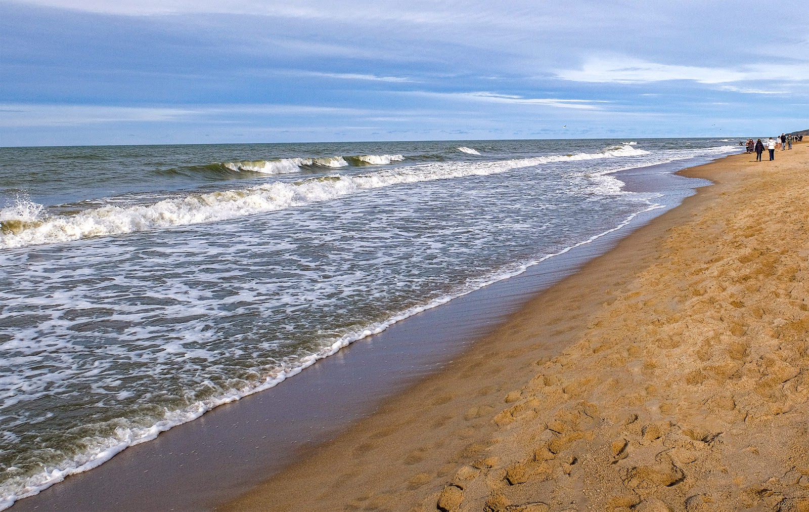 Palangos beach'in fotoğrafı vahşi alan
