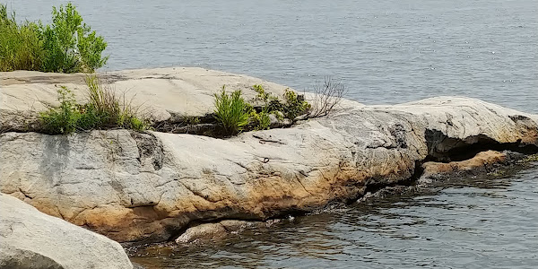 Fort Trumbull State Park and Museum