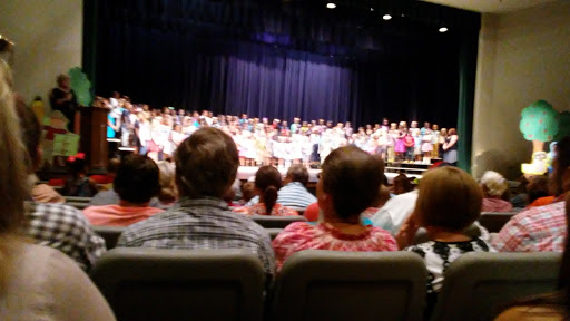 Performing Arts Theater «Theatre Dublin», reviews and photos, 314 Academy Ave, Dublin, GA 31021, USA