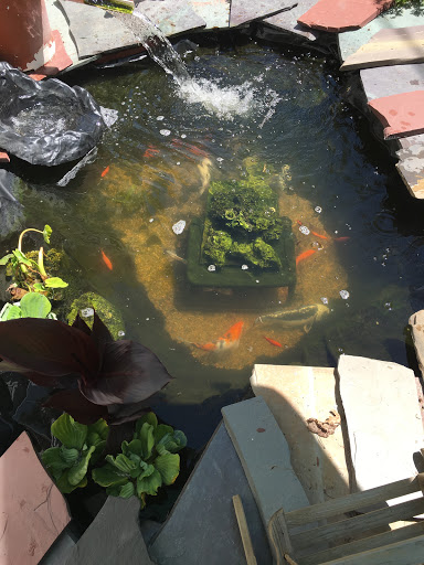 Florist «Country Gardens», reviews and photos, 157 Central St, Rowley, MA 01969, USA