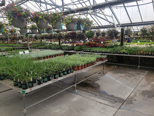 Garden Center «H J Benken Florist & Garden», reviews and photos, 6000 Plainfield Rd, Cincinnati, OH 45213, USA