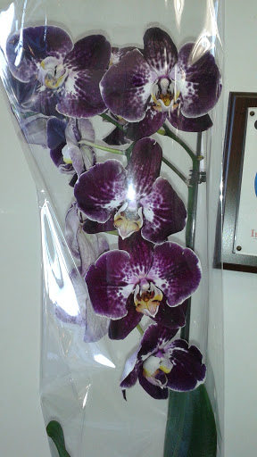 Dry Cleaner «Imperial Cleaners», reviews and photos, 1065 2nd St Pike, Richboro, PA 18954, USA