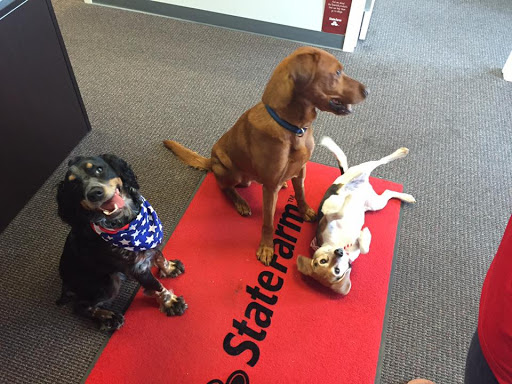 Insurance Agency «Mike Tschida - State Farm Insurance Agent», reviews and photos