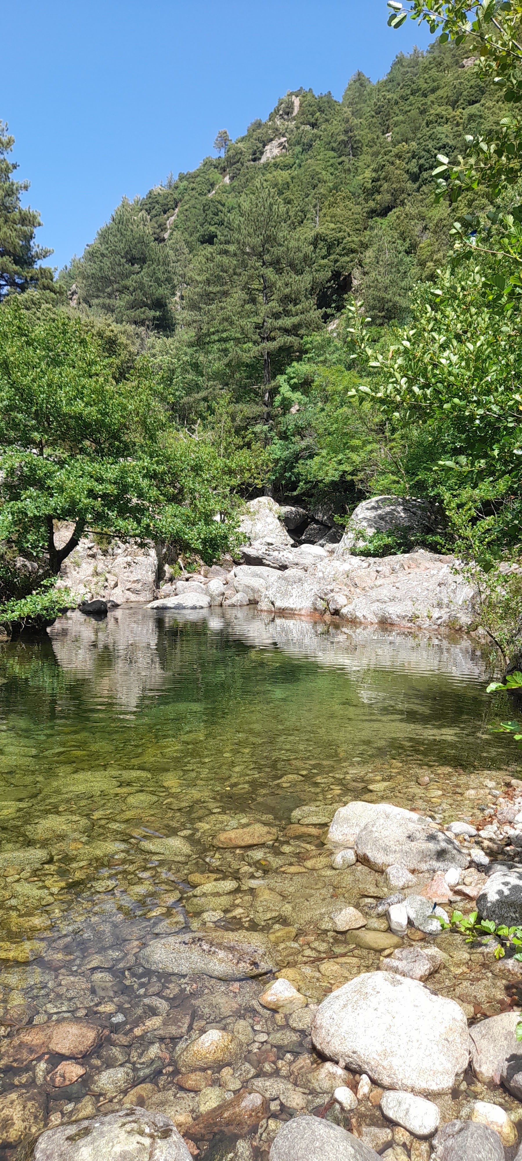 Photo n° 1 de l'avis de Thibault.E fait le 22/07/2023 à 11:07