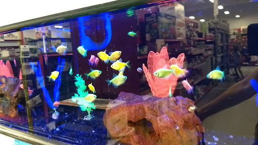 Pet Supply Store «Petco Animal Supplies», reviews and photos, 3731 Gateway Dr, Eau Claire, WI 54701, USA