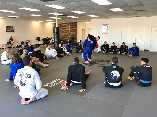 Ares Brazilian Jiu Jitsu Academy