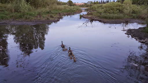 Park «Tualatin Hills Nature Park», reviews and photos, 15655 SW Millikan Way, Beaverton, OR 97006, USA
