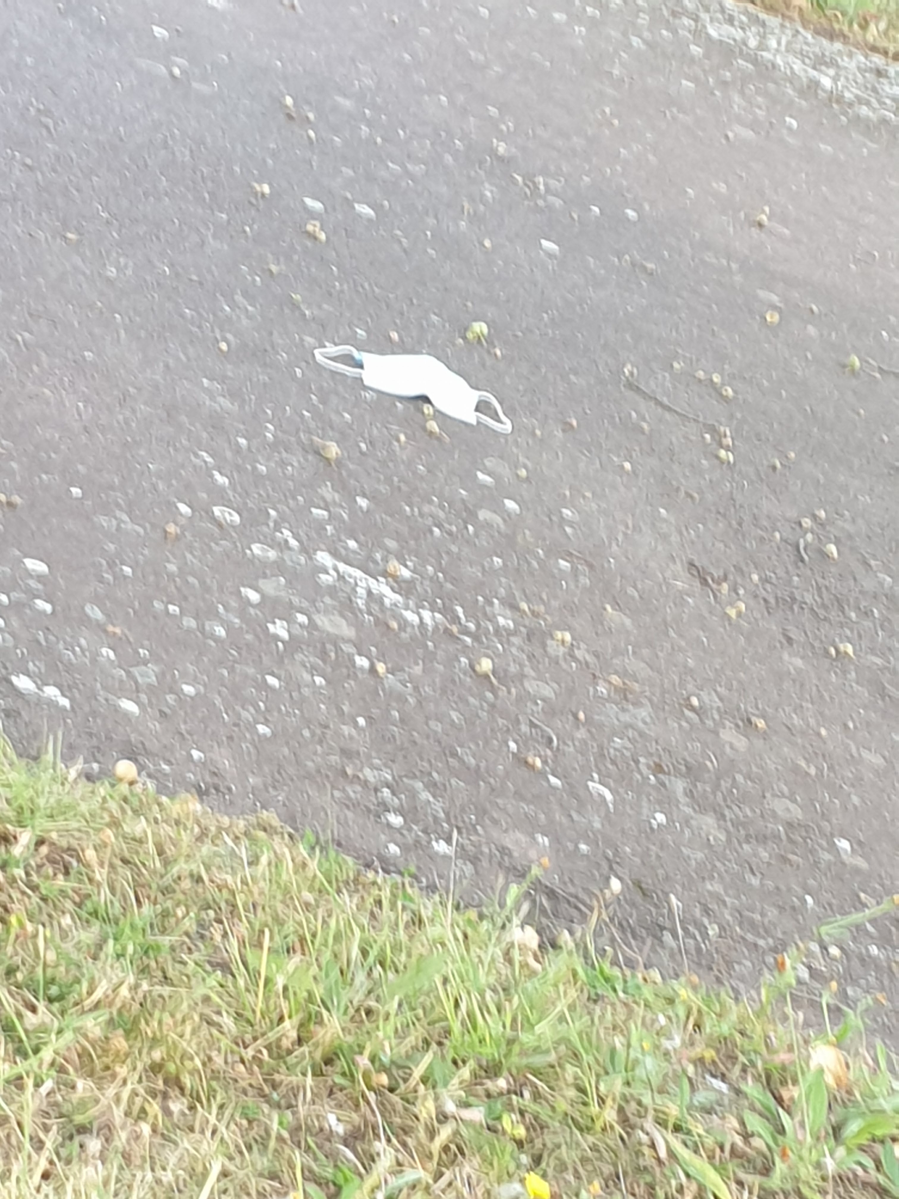Photo n° 21 de l'avis de 59.o fait le 23/02/2020 à 15:49