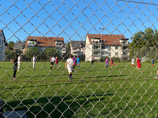 Fc Kloten - Verband