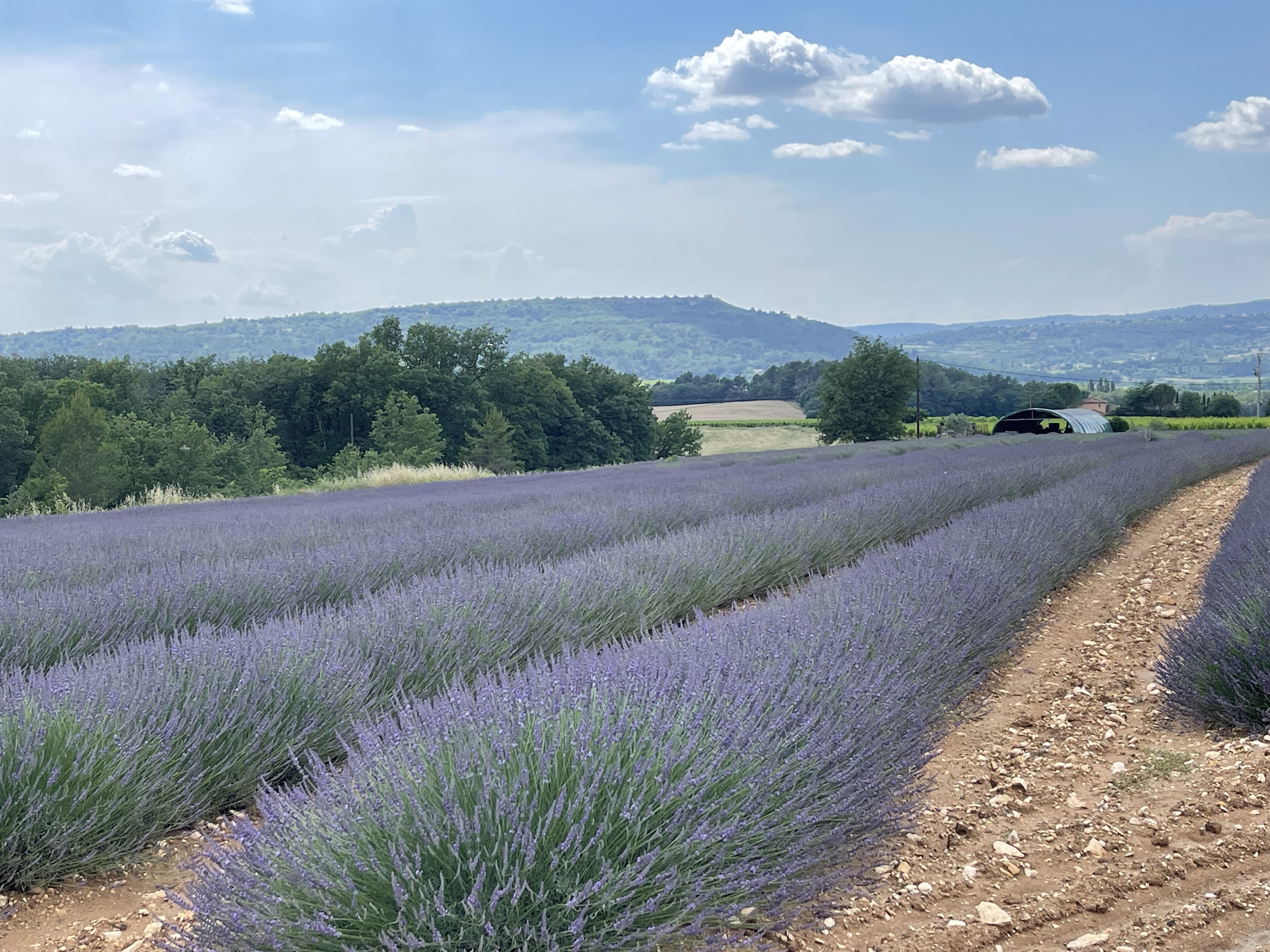 Photo n° 1 de l'avis de lingyan.e fait le 14/06/2023 à 18:38
