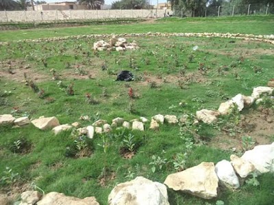 Photos of Zubaydiah Wasit Iraq