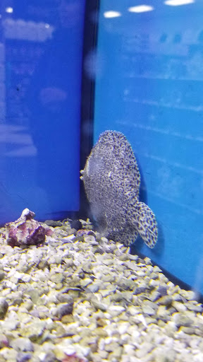 Pet Supply Store «Petco Animal Supplies», reviews and photos, 450 N Rte 17, Paramus, NJ 07652, USA