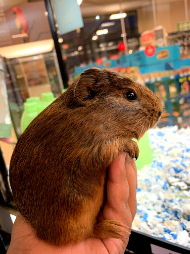 Pet Supply Store «PetSmart», reviews and photos, 4180 US-1, Monmouth Junction, NJ 08852, USA