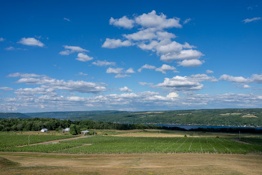 Winery «Heron Hill Winery», reviews and photos, 9301 Co Rd 76, Hammondsport, NY 14840, USA