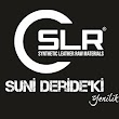 SLR Dış Ticaret A.Ş.