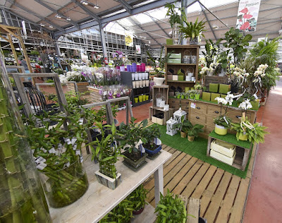 Jardinerie Delbard à Verrières-en-Anjou
