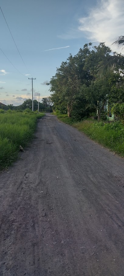 Campestre del tejar