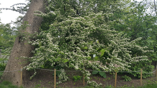 Historical Place «Morris-Jumel Mansion», reviews and photos, 65 Jumel Terrace, New York, NY 10032, USA