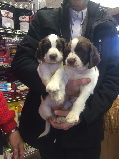 Pet Store «Pets of Portage», reviews and photos, 2219 W Wisconsin St, Portage, WI 53901, USA