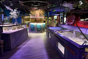 Mertailor’s Mermaid Aquarium Encounter image
