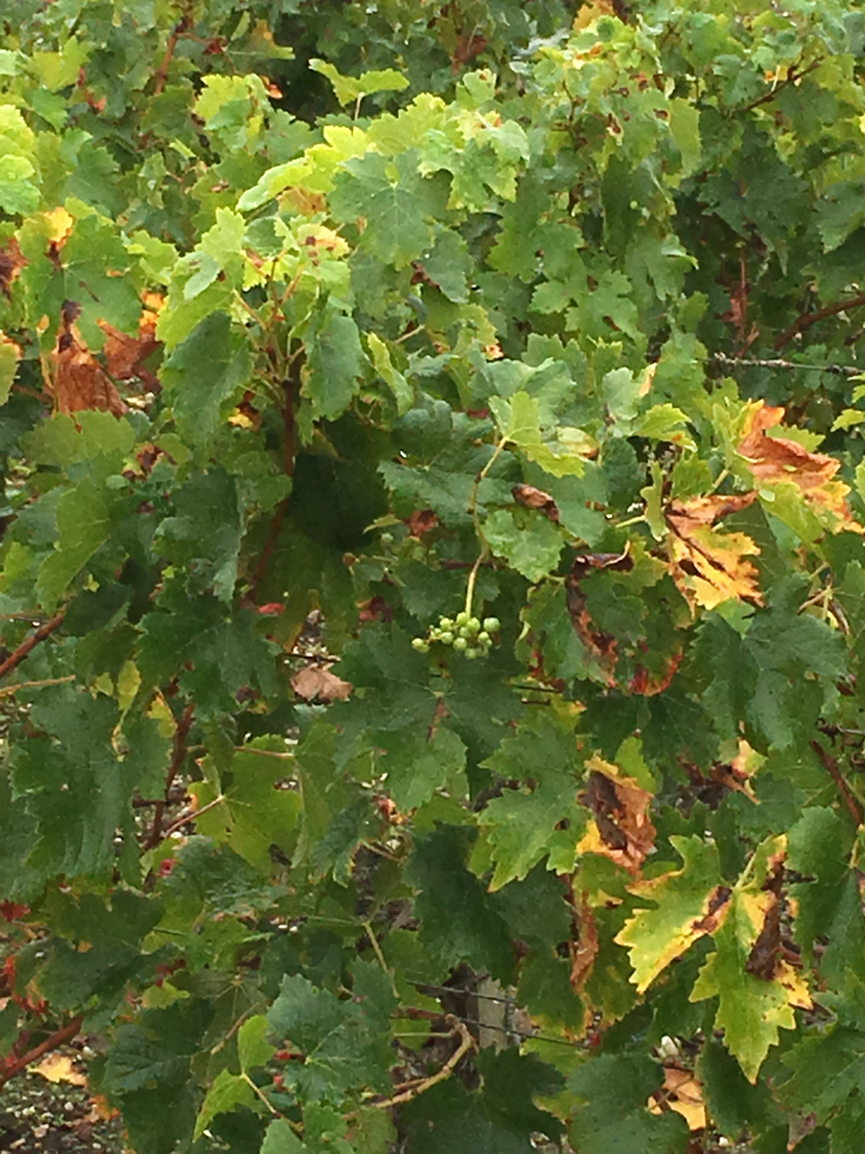 Photo n° 6 de l'avis de Philip.h fait le 30/09/2019 à 02:47