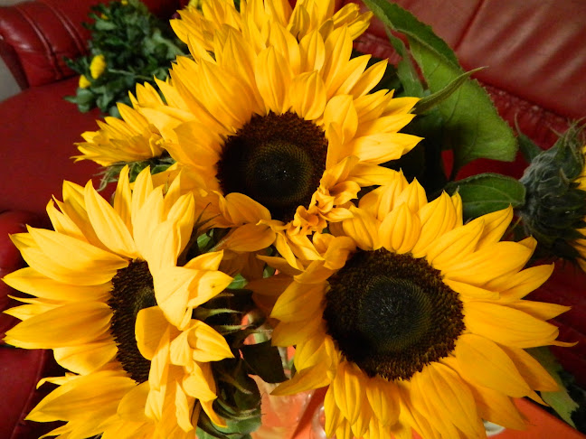 Opinii despre Floraria "Sunflower" în <nil> - Florărie