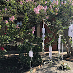 Photo n°6 de l'avis de Vanessa. fait le 31/08/2023 à 13:54 sur le  Villa La Cerbara Relais & Wedding à Fossombrone