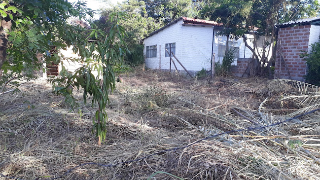 Comentarii opinii despre Montaña Arrugada Expediciones