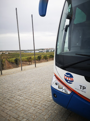 Avaliações doParque Bus Ovnitur/UTS em Loures - Agência de viagens