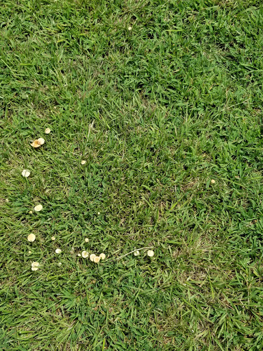 Park «McDade Park», reviews and photos, 3750 FM 2854 Rd, Conroe, TX 77304, USA