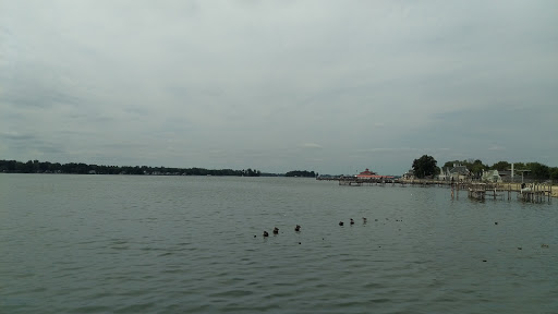 Yacht Club «Buckeye Lake Yacht Club», reviews and photos